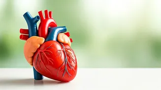 Eat Healthy: Indian Diet For A Healthy Heart