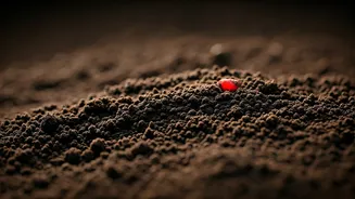 Soil Lead Poses Increasing Health Risks