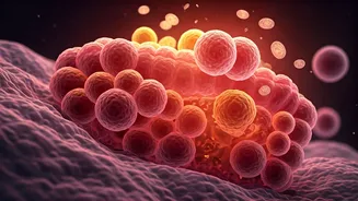 The Gut-Cancer Connection: How Modern Lifestyles Fuel Rising Colorectal Cancer in Young Indians