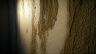 Stop Dampness Before It Takes Over Your Home