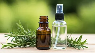 Rosemary Water or Oil? Beauty Secrets Revealed