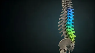 Mastering the Thoracic Bridge: Unlock Upper Body Flexibility and Strength