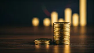 HDFC Bank Grows With Government Reforms