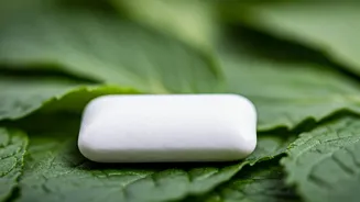 Chewing Gum: A Quick Guide for Health