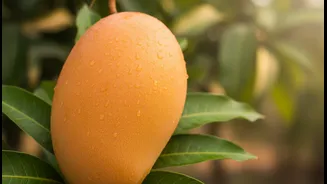 A Regional Variety Can Create a New Food-Tourism Route