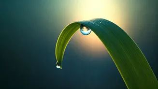 Unlock Your Best Day: 7 Powerful Morning Affirmations That Reshape Your Mindset