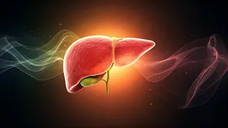 Debunking Liver Health Myths: Separating Fact from Fiction on Common Symptoms