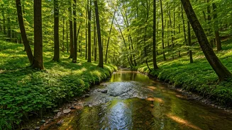 Related Stories banner