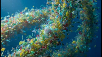 Scientists Stress Species-Level Monitoring After Major Algal Bloom Losses