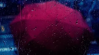 Monsoon Windows Guide: What To Consider Before Opening Them During Rain