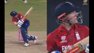 Video of the Day: T20 World Cup 2026 – Harry Brook hits outrageous scoop for six, ball crashes into stadium screen