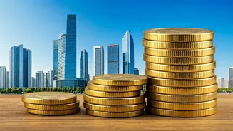 Groww's IPO: An Overview for Indian Investors