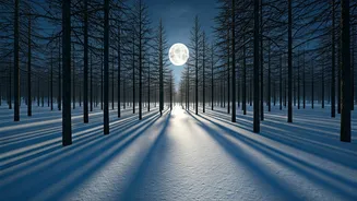 Unveiling the Snow Moon's Mysterious Influence