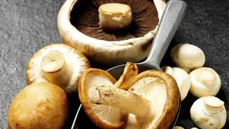 Mushrooms And Zucchini Fit Different Textures And Recipe Styles