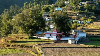 Young travellers explore Ziro Valley responsibly using eco homestays and required permits