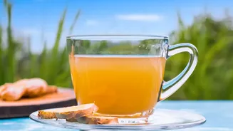 Five Zesty Lemon-Ginger Beverage Hacks Designed To Support Healthy Metabolic Activity