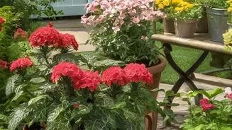 Plant Experts Recommend Patience Before Watering During Humid Conditions