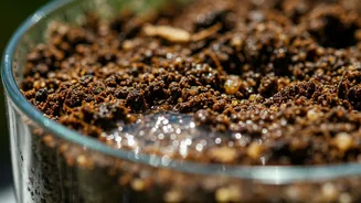 Gravel Mix Soil Formula Prevents Waterlogged Root Killers Fast