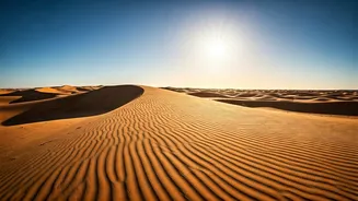 Jaisalmer Gives You Gold Without Monsoon Mud