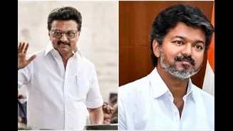 'Vijay Got Majority Because Our Allies Helped': DMK Credits Stalin For Tamil Nadu New Govt