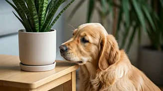 Biophilic Homes Need Pet-Safe Plant Planning