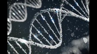 Pela primeira vez, técnica altera genes em embriões com alta precisão