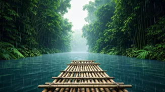 Glide Through Rainy Forests On Bamboo Rafts