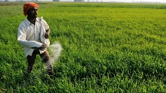 India's fertilizer subsidy bill may jump 20%: Here's why