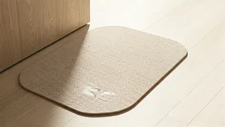 Diatomaceous Earth Entryway Mats Are the Newest Viral Interior Hack