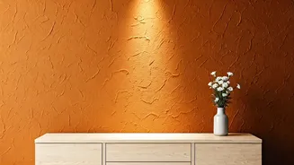 Why Gen Z Renters Love Terracotta Clay Wall Washes