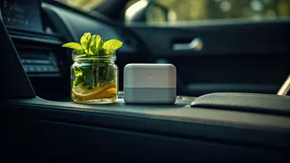 Banish Bad Car Odors: 5 Proven, Simple Fixes for a Fresher Ride