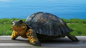 A Better Wildlife Experience Begins with Less Chasing and More Patience