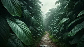 Monsoon Travel Lists Are Becoming Must-Read Content