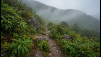 Why young travellers pick monsoon spiritual trails over crowded commercial mountain resorts