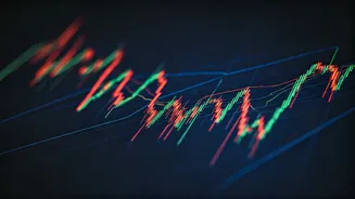 Mastering the Markets: Key Webinars for Investors