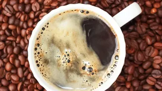 How Urban Mycology Start-Ups Build Circular Protein Hubs From Coffee Scrap