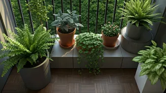 Green Corners Without Mud Are A Renter Dream