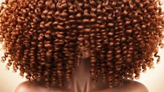 Unveiling 7 Stellar Curly Haircuts to Embrace Your Natural Texture