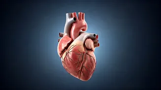 Omega-3: Understanding the Health Benefits & Deficiencies