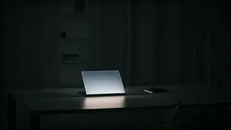 42-Year-Old IT Pro's Rs 55 LPA Life: Deep Loneliness Sparks Widespread Relatability Online