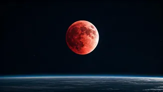 Related Stories banner