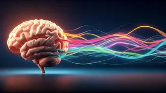 Unlocking Your Brain: How Dance Transforms Mental Health and Cognitive Function