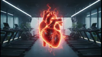 Humidity-Induced Heart Strain: Why High-Moisture Air Doubles Cardio Exhaustion Rates In Indoor Gyms