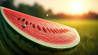 Solapur: India's Thirst-Quenching Watermelon Capital