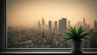 New Delhi Air Quality Today: Unpacking the 'Poor' AQI and What It Means