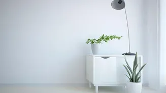 Humidity Can Slow Soil Drying Inside Your Home