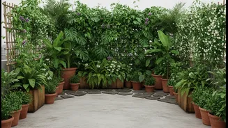 Monsoon Gardening Can Turn Bare Concrete Terraces Into Cooler Living Spaces