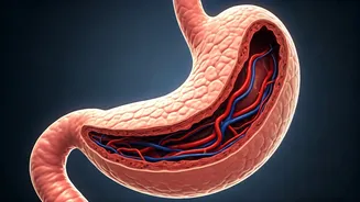 Unveiling Obesity: A Groundbreaking 8-Year Study