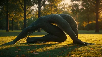 Why Outdoor Parks Are Packed With Animal-Flow Fitness Enthusiasts