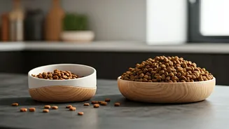 Breed-Based Bowls Are The New Pet-Care Upgrade
